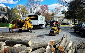 Best Hazardous Tree Removal  in Winterville, GA